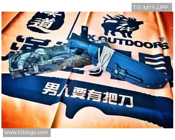 杭州羽毛球队防守革新之路：技术提升与战术创新的深度解析